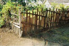 Grape Stakes Backyard Fences Garden Screening Lawn And Garden