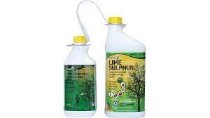 When the buds grow larger and swell, but before they open, spray again. Lime Sulfur Spray Zima Fertilizer