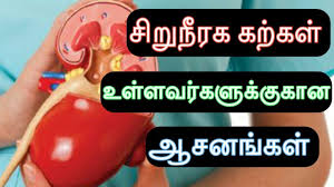 Cure Kidney Stones Using Yoga In Tamil Kideny Stone Solution In Tamil Youtube
