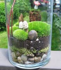 Cute Little Moss Terrarium Terrarium Succulent Terrarium Plants