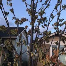 Located one mile south of exit 44 on the corner of victory and meridian road, victory. Victory Greens 41 Photos 28 Reviews Nurseries Gardening 100 E Victory Rd Meridian Id Phone Number Yelp