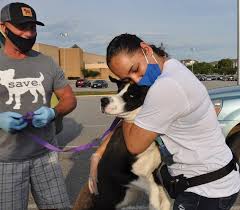 Rescue Spotlight Operation Paws For Homes Pawstruck Press