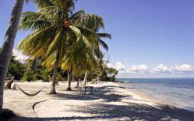 Found on roatan island in the 1960's. Reise Was Sind Die Schonsten Strande In Guatemala