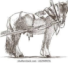 نتیجه جستجوی لغت [workhorses] در گوگل