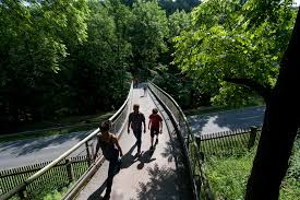 3 Route Durch Die Walder Der Erde Wanderung Outdooractive Com