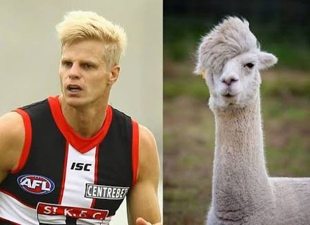 images?q=tbn:ANd9GcQhUHij2JoiQjl8k65pybO