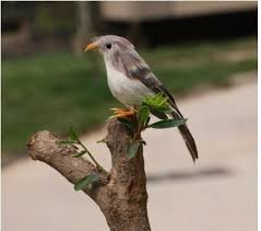 Scopri ricette, idee per la casa, consigli di stile e altre idee da provare. 15 Style Little Artificial Birds Home Decoration Yard Garden Accessories Ornament Miniature Figurines For Outdoor Modern Decor Ornaments Garden Garden Ornaments Birdsornamental Decoration Aliexpress