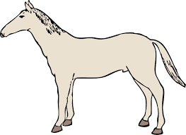 4k ultra hd horse wallpapers. Download Hd Horse Drawing Shower Curtain Transparent Png Image Nicepng Com