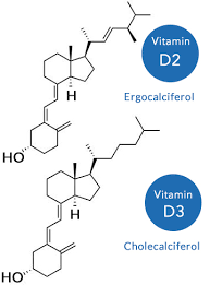 The activity of vitamin d in the skin surrounding the hair follicle (i.e. The Importance Of Vitamin D3 For Health And Hair Growth