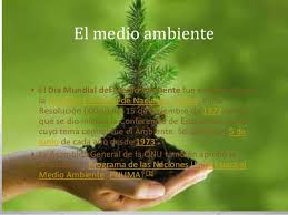 Cada año, desde 1974, el día mundial del medio ambiente se celebra el 5 de junio con la participación de gobiernos, empresas y ciudadanos en un esfuerzo por abordar los más apremiantes problemas ambientales. Imagenes Para El Dia Mundial Del Medio Ambiente