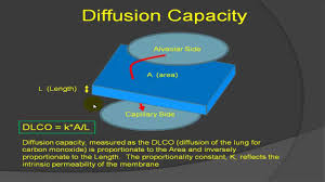 Image result for Diffusing Capacity