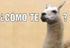 See more ideas about memes, funny memes, haha funny. Humor Funny Quotes In Spanish Quotesgram