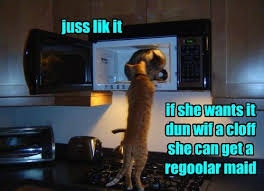 If you believe so, i'l m finally if you desire to receive unique and recent photo related with funny clean cat memes, please follow us on google plus or bookmark this blog, we try our best. Lolcats Clean Lol At Funny Cat Memes Funny Cat Pictures With Words On Them Lol Cat Memes Funny Cats Funny Cat Pictures With Words On