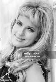 127 Stark Eyes Stock Photos, High-Res Pictures, and Images