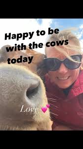 #cowsmakemehappy #redcowirganicschees #farmlife