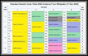 We did not find results for: Codons Anticodons