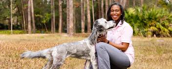 Vca alaska pet care animal hospital. Icare4pets Custom Pet Services Longwood And Apopka Fl