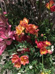 花アレンジ一覧 花 ひろば 仁智会