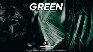 All the presets are free to use. Moody Green Lightroom Preset Free Download