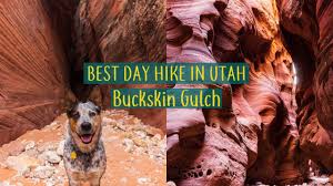 Paria canyon and buckskin gulch offer some really amazing slot canyon hiking with areas as narrow as 2ft (in the gulch), but you better be ready to get wet! Exploring Wire Pass To Buckskin Gulch Slot Canyon Hike Full Time Truck Camper Living Youtube