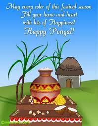Pongal Happy Pongal Happy Sankranti Happy Pongal Wishes
