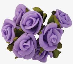 We did not find results for: Purple Rose Lavender Flower Violet Rose Png Free Transparent Png Download Pngkey