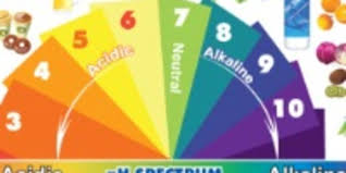 alkaline acidic foods chart the ph spectrum