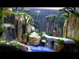 Aquascape Air Terjun Ukuran 60 35 35 Youtube Aquascaping Air Terjun Seni Konsep