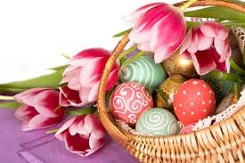 They are perfect for people who love to plant flowers and take care of them. Easter Basket Ideas For Kids And Adults
