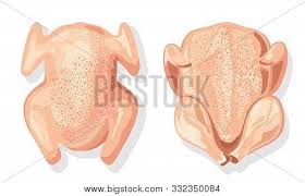 Your raw thanksgiving turkey stock images are ready. Whole Raw Chicken Vector Photo Free Trial Bigstock