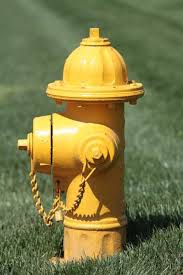 If so, do the hydrants follow the nfpa 291 guidelines? Yellow Fire Hydrant Shades Of Yellow Hydrant Yellow