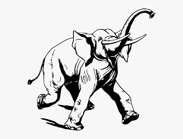 Check spelling or type a new query. Bw Elephant Clip Art Line Drawing Hd Png Download Kindpng