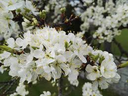 Maybe you would like to learn more about one of these? Bildergalerie Raiffeisen Com