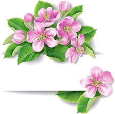 Starship troopers until you die or i find someone better. Pink Flower Border Designs Free Vector Download 18 517 Free Vector For Commercial Use Format Ai Eps Cdr Svg Vector Illustration Graphic Art Design