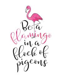 See more ideas about flamingo, flamingos quote, pink flamingos. Printable Art Be A Flamingo In A Flock Of Pigeons Inspirational Quote Motivational Print Dig Flamingos Quote Inspirational Quotes Wall Art Printable Quotes