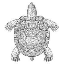 36 Schildkrote Zum Ausmalen Besten Bilder Von Ausmalbilder
