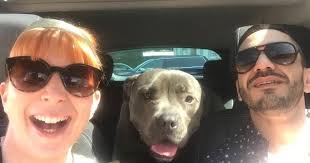 Dog which helped man overcome drug addiction missing