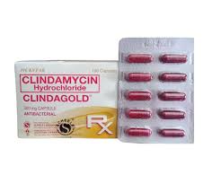 Image result for Clindamycin