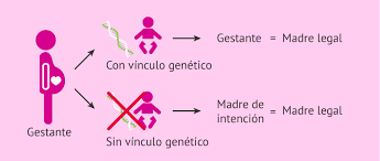 Se realiza sin una motivación económica por parte de la gestación subrogada comercial: Claves Para Entender La Maternidad Subrogada En Mexico