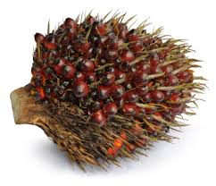 Sime darby describes itself as the world's largest palm oil plantation company by planted area and. Unimills And Unilever Sign Long Term Agreement On Sustainable Palm Oil