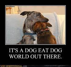Chapter 3 The Dog Eat Dog World Of Success And Failure Mrdoncrow