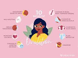 Learn about options, testing & what to expect with advice from the fertility community. Ovulation Signs Symptoms And When You May Ovulate Babycenter