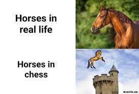 The image of the horse on the balcony. Final Project Requirements Vs What Students Turn In Meme Memezila Com