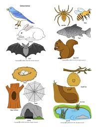 Free Animal Homes Cliparts Download Free Clip Art Free