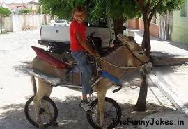 Boy Donkey Bike Made Funny Image Funny Pictures Funny Images Funny Pictures Pakistani