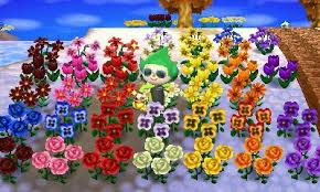 Flower Hybrid Chart Http Www Thonky Com Animal Crossing New Leaf Flowers Hybrids Animal Crossing Flower Guide New Leaf