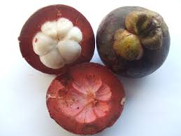 Image result for Garcinia mangostana