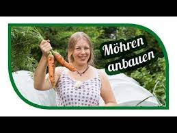mohren erfolgreich anbauen unsere lieblings karotte nantaise 2 milan youtube garden
