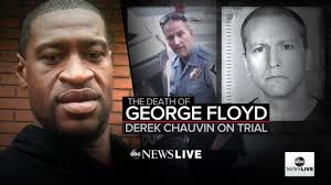 The Death of George Floyd: Day 12 recap of Derek Chauvin's trial