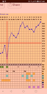 Thoughts On My Bbt Chart Maybe Pregnant Trying To
